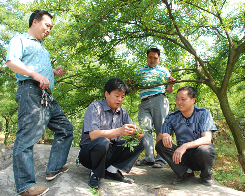 幸福花开"石头村—记四川筠连县腾达镇春风村党支部书记王家元